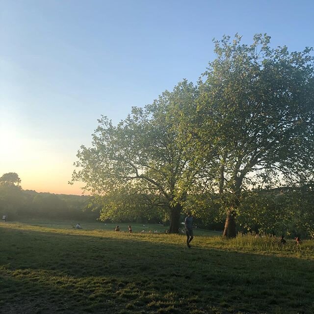 SUMMER EVENING 
A sunset walk was the perfect antidote to a hot day inside looking at a screen. 
#hampsteadheath #natureconnection #eveningwalk #londonlockdown #londonnature #soothedbynature #londonparks