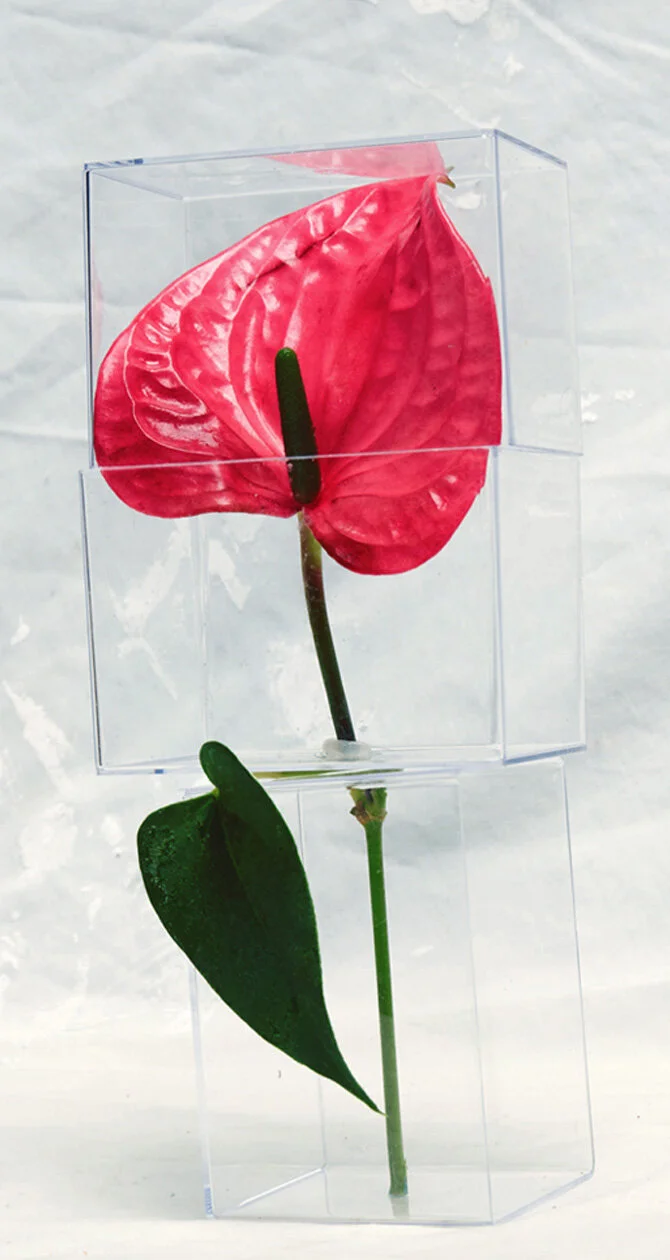 cover3.jpg