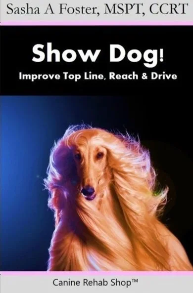 Book cover titled 'Show Dog! Improve Top Line, Reach & Drive' by Sasha A Foster, MSPT, CCRT