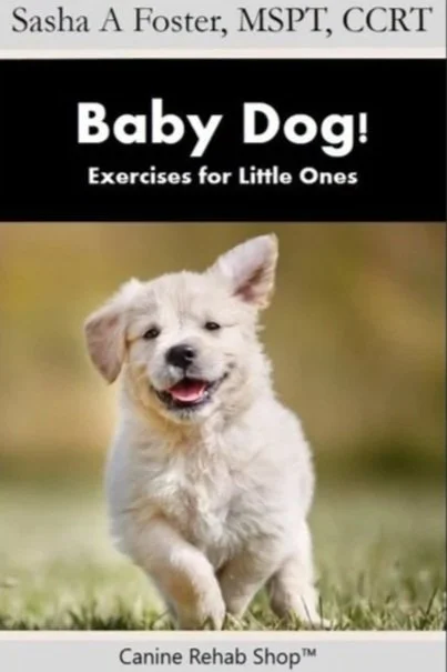 Cover of a book titled 'Baby Dog! Exercises for Little Ones' by Sasha A. Foster, MSPT, CCRT. The cover features a happy, fluffy puppy running on grass.