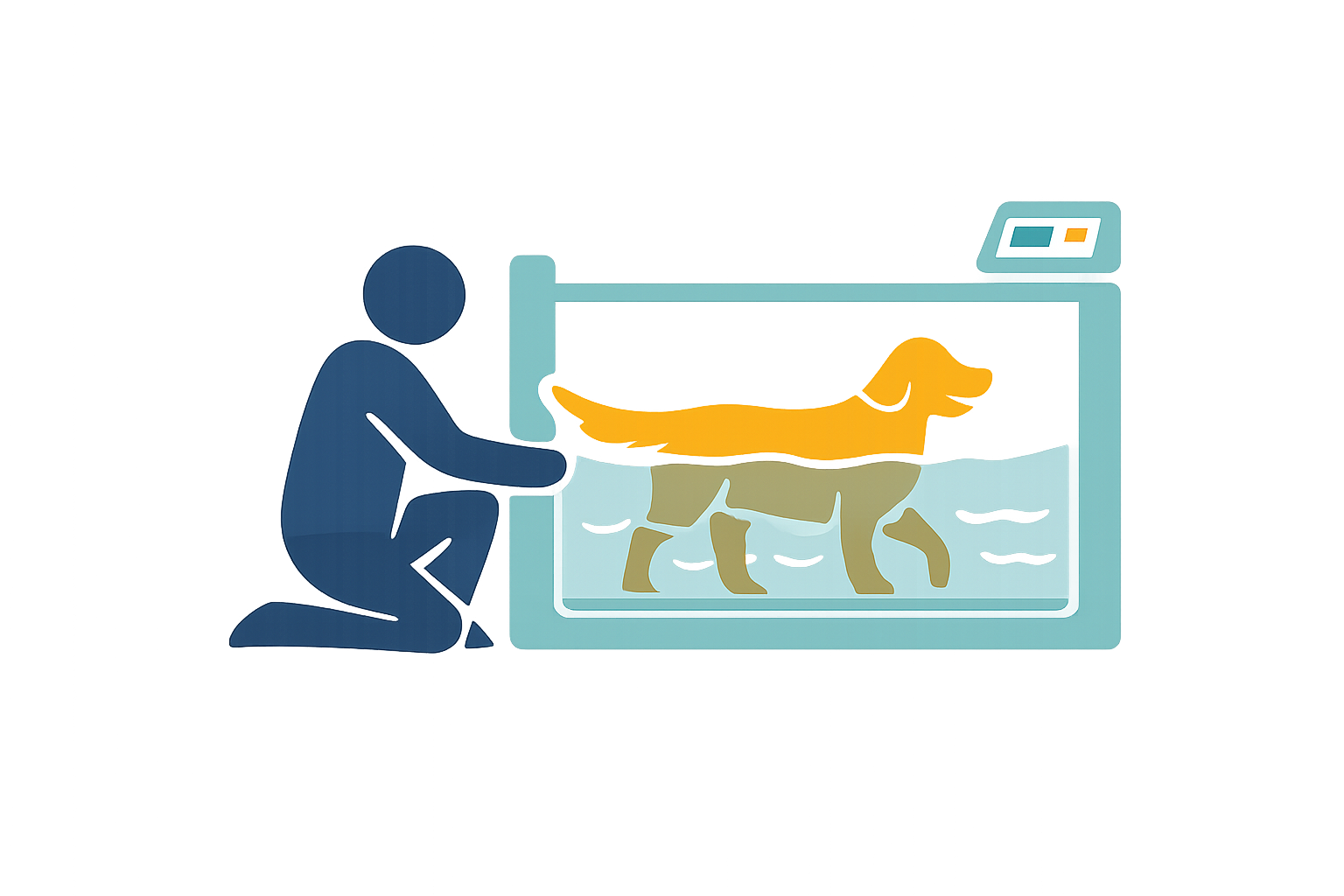 In-Person Animal Physical Therapy