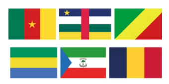 Central African Investment Roundtable 2026