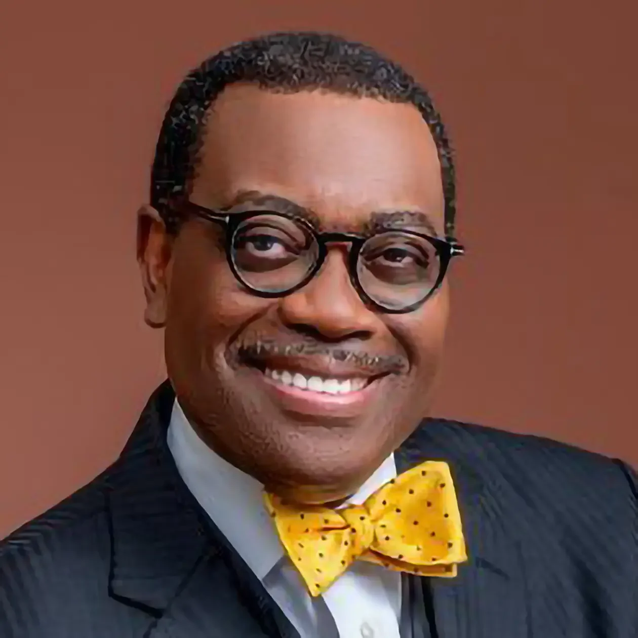 Dr. Akinwumi A. Adesina
