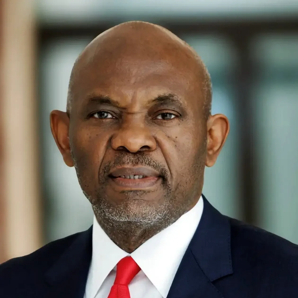 Mr. Tony O. Elumelu, CFR