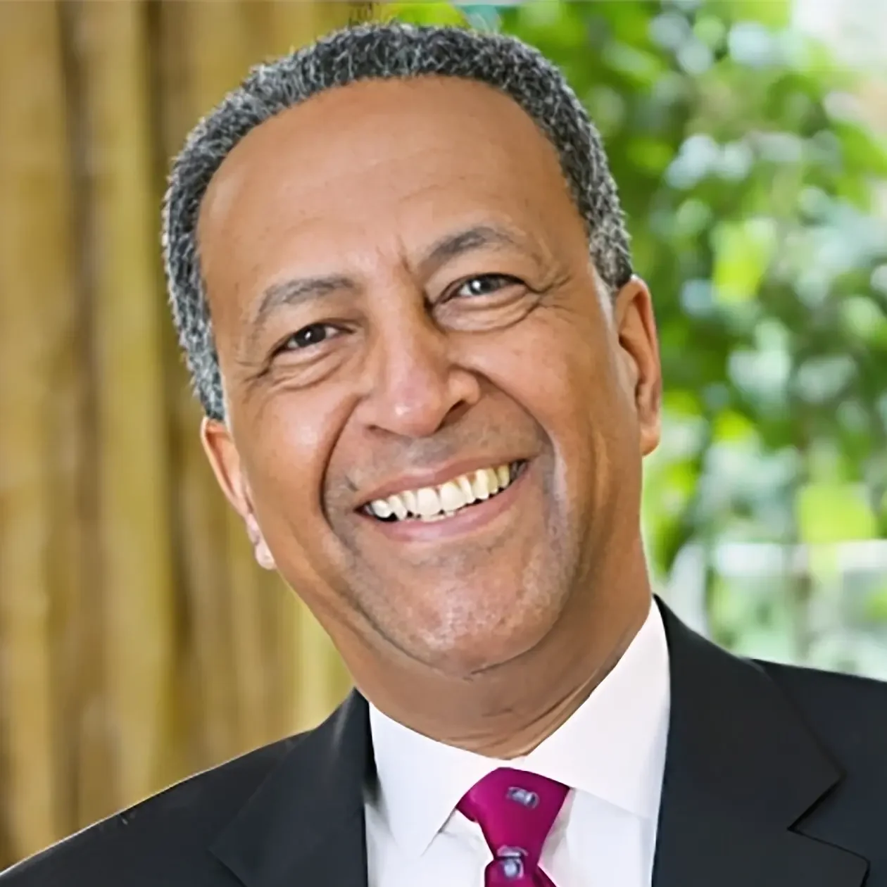 Mr. Zemedeneh Negatu