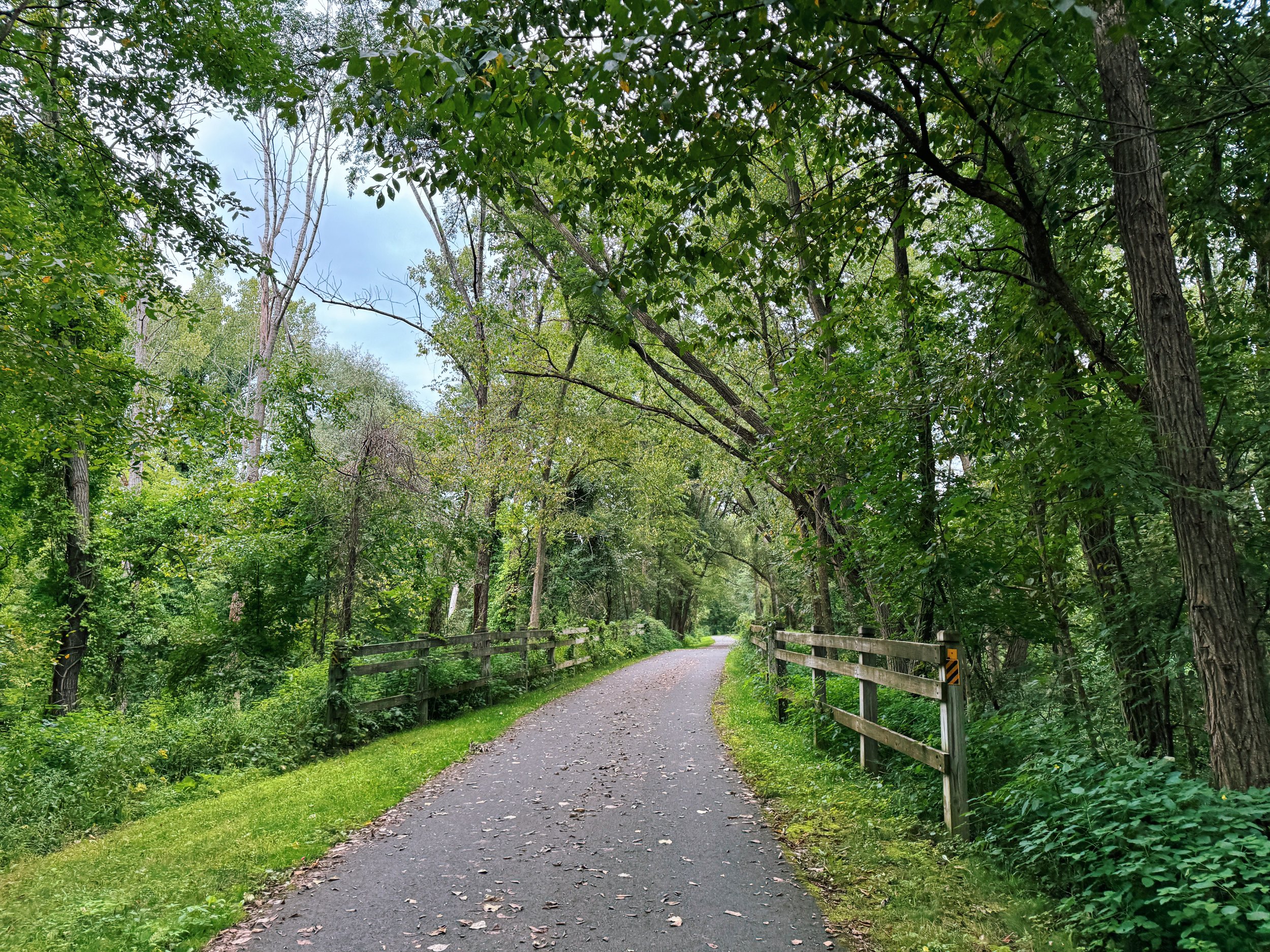 Zim Smith Trail