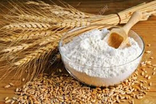 fresh ground wheat
