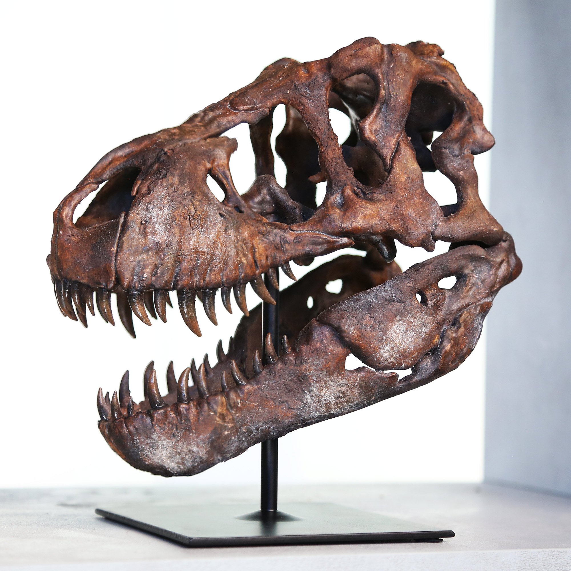 T-Rex-mwekf.jpg