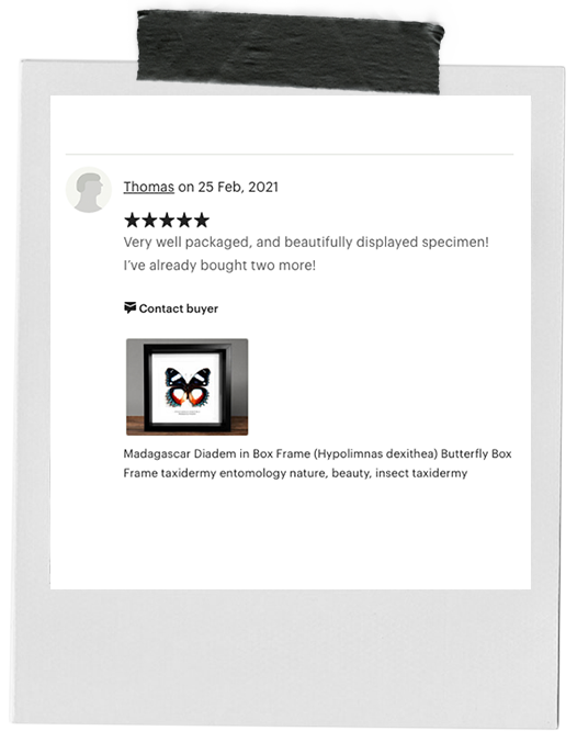 review-1-b.png
