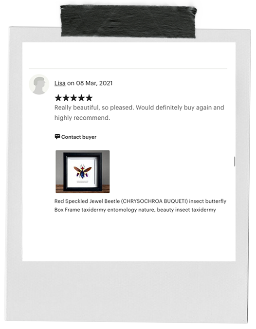 review-4.png
