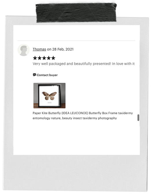 review-5.png