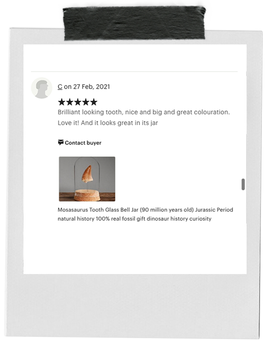 review-8.png