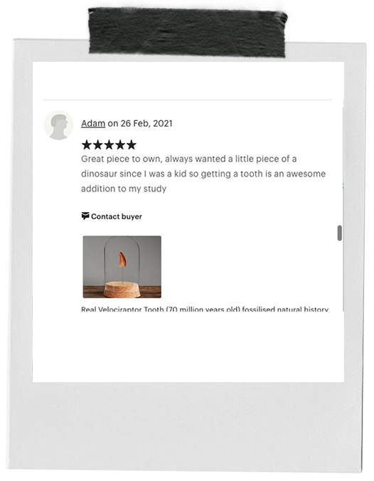 review-10.png