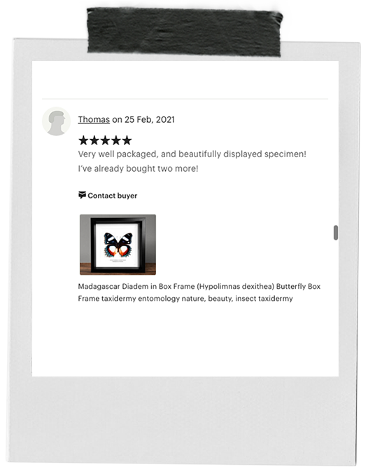 review-11.png