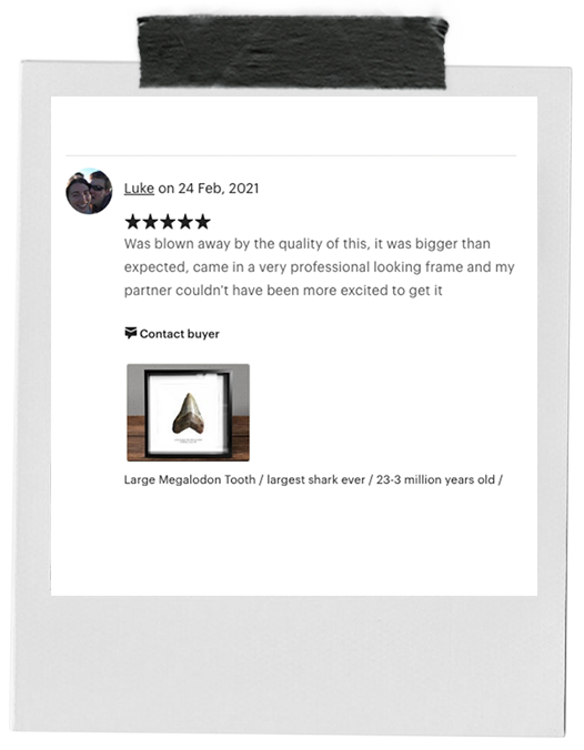 review-12.png