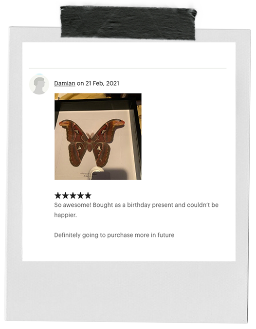 review-14.png