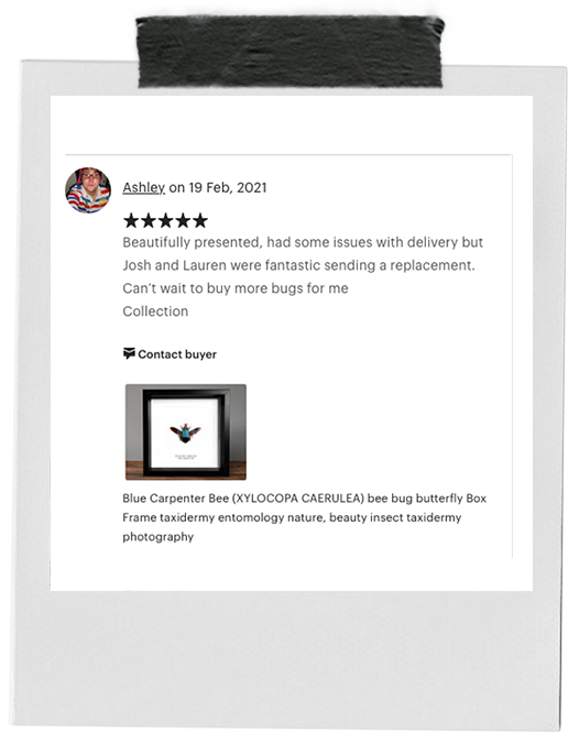 review-15.png