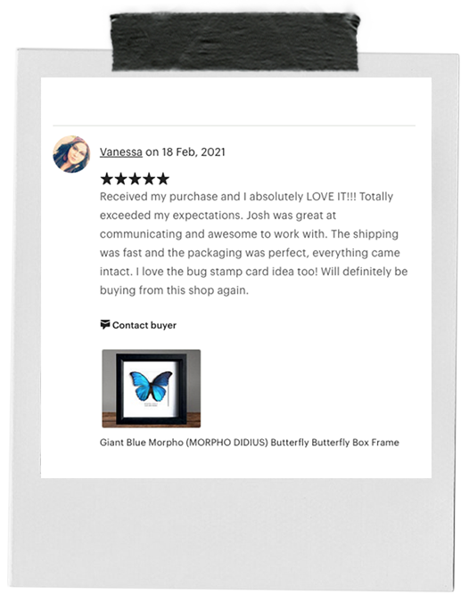 review-16.png