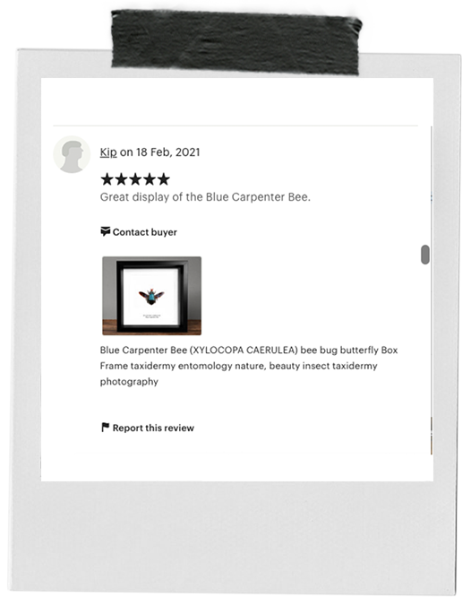 review-17.png