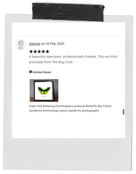 review-18.png