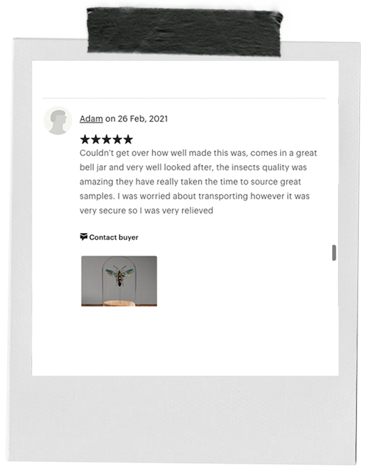 review-9.png