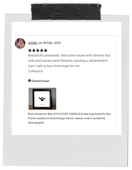 review-15.png