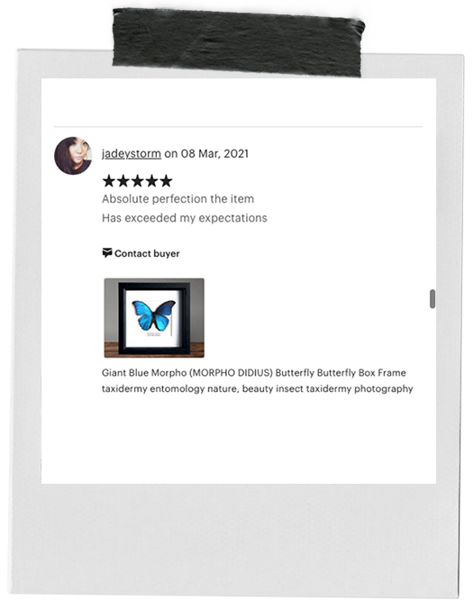 review-2.png
