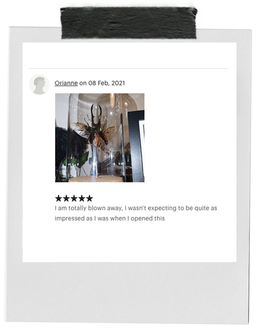 review-3.png