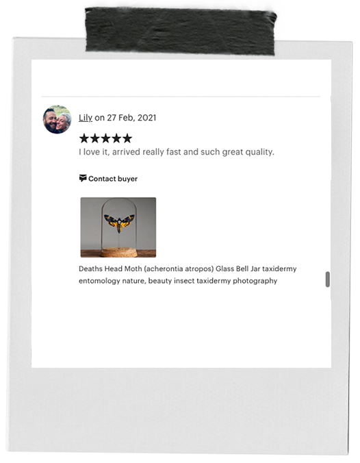 review-7.png