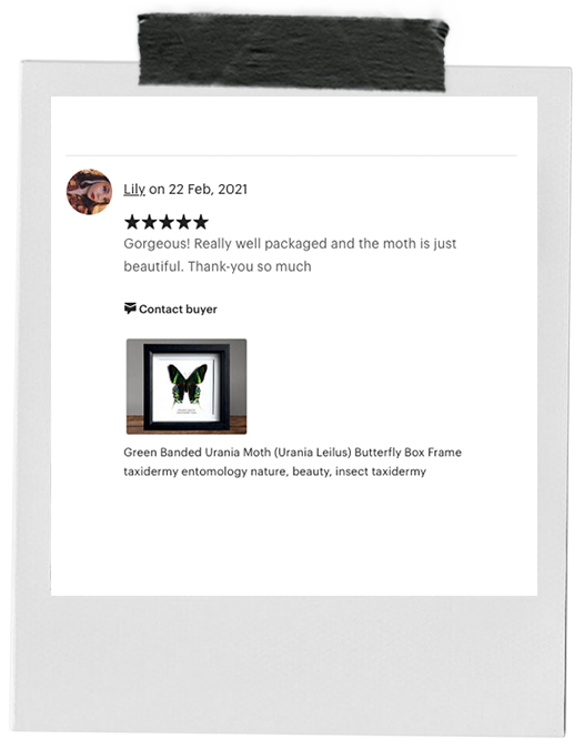 review-13.png