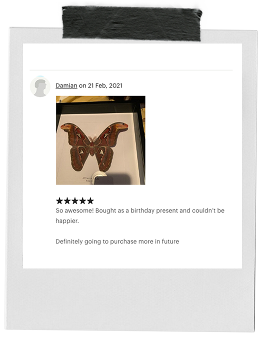 review-14.png