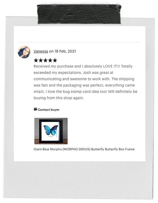review-16.png