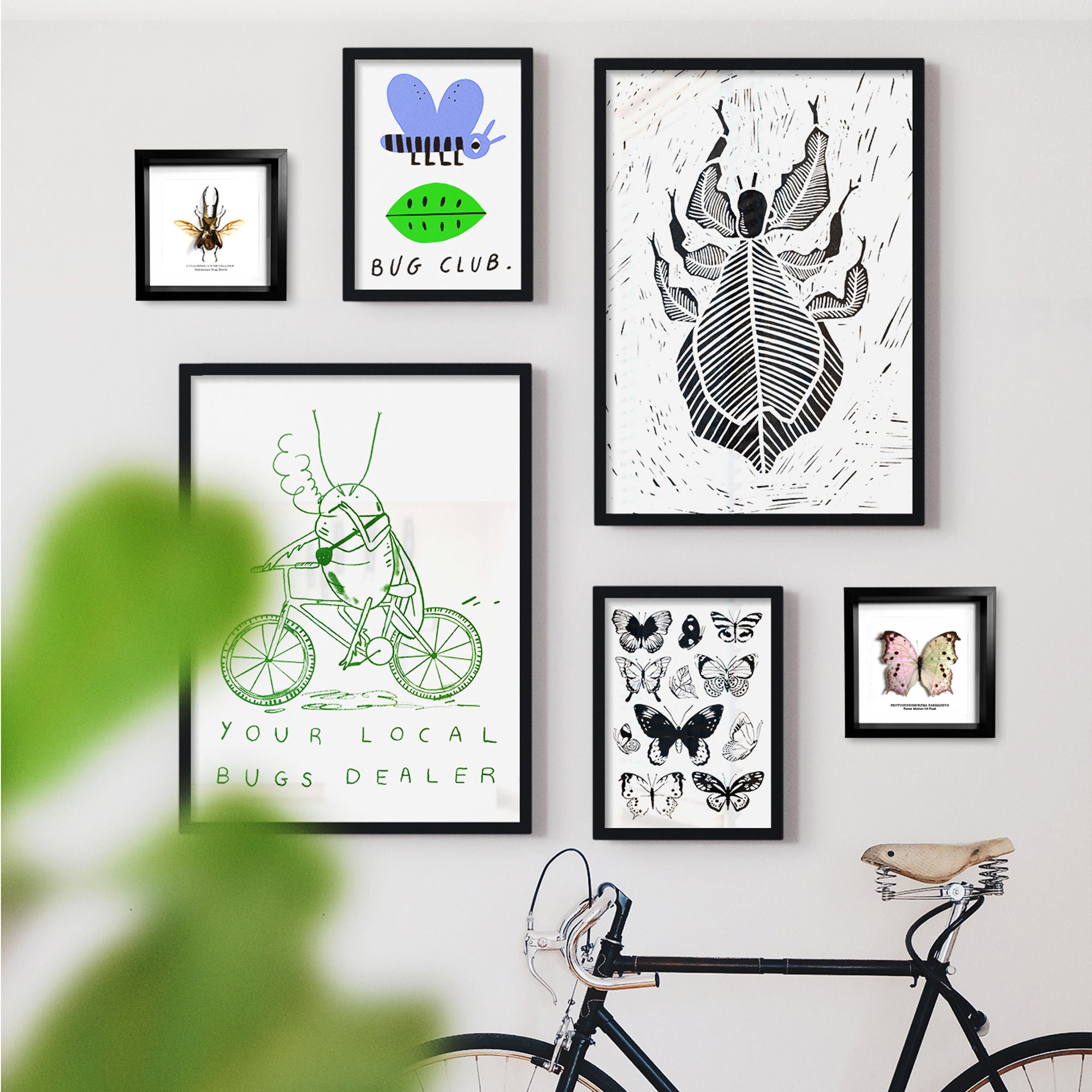 Framed Insects & Fossils For Sale | The Bug Club