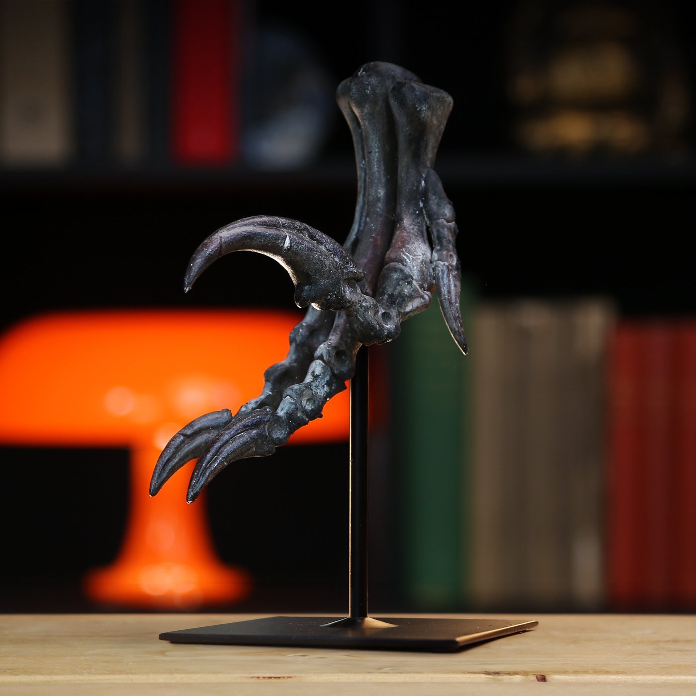raptor-claw-model-2025.jpg