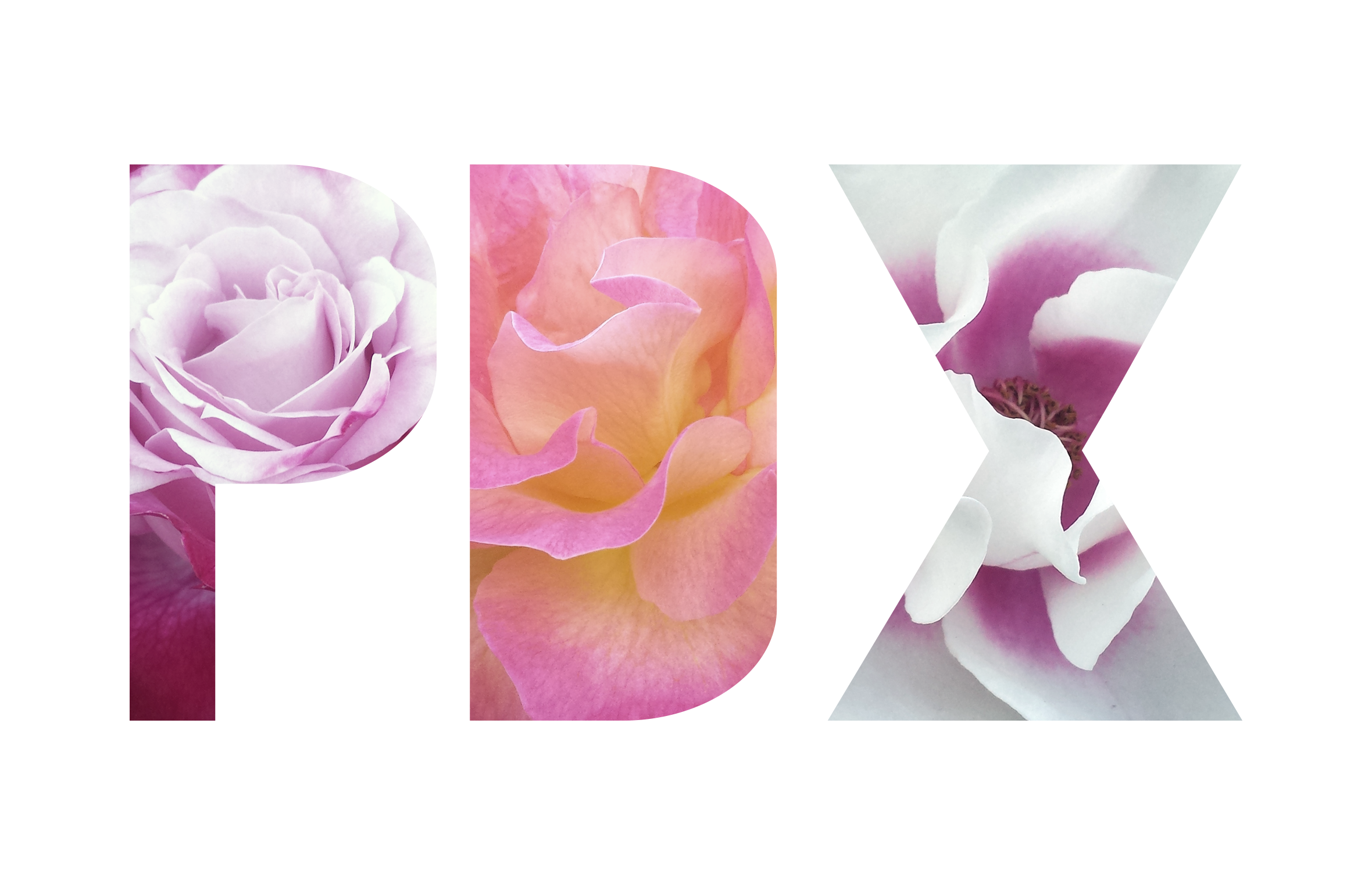 Portland, Oregon: The City of Roses