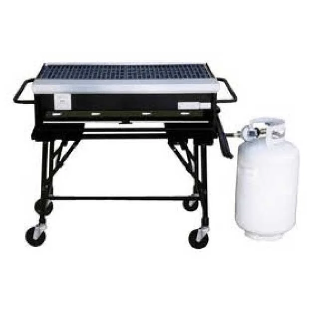 Propane grill rental with tank