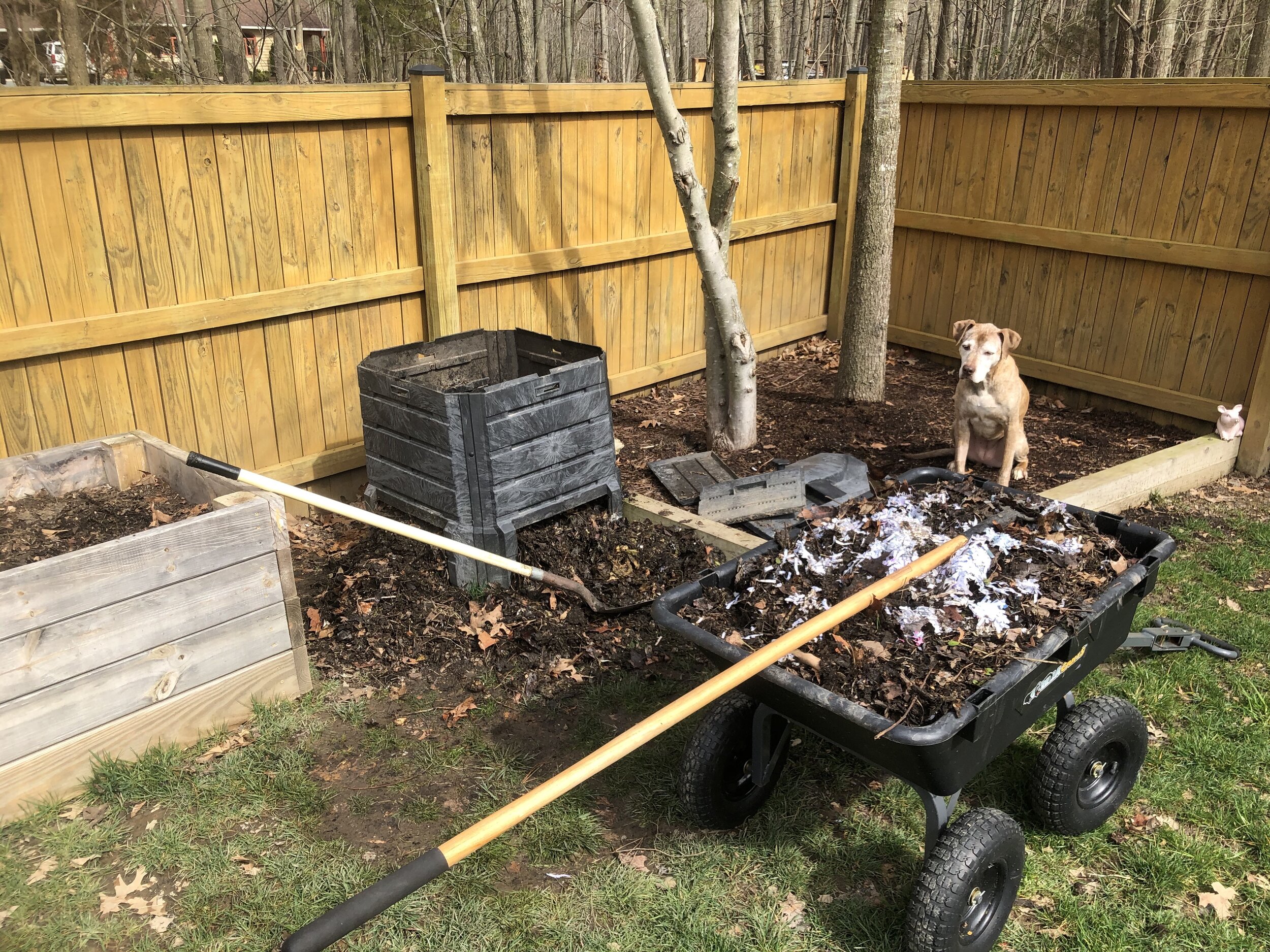 Compost:wheelbarrow.jpg