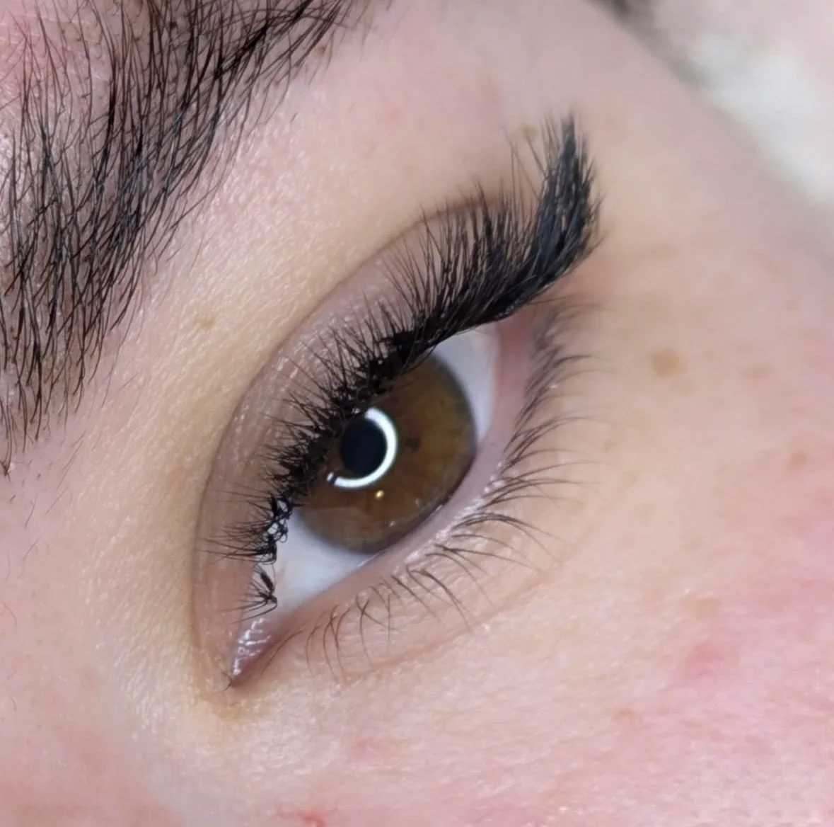 Close-up of a brown eye with long eyelashes and well-groomed eyebrows.