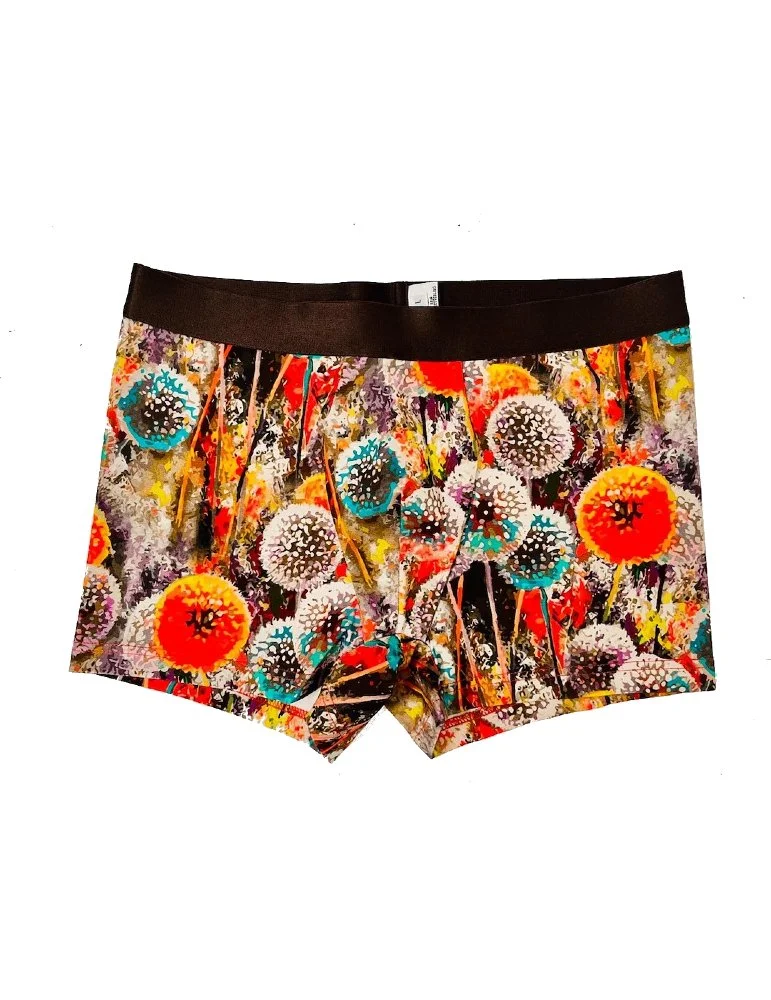 Pusteblume UnterhoseFIX.jpg