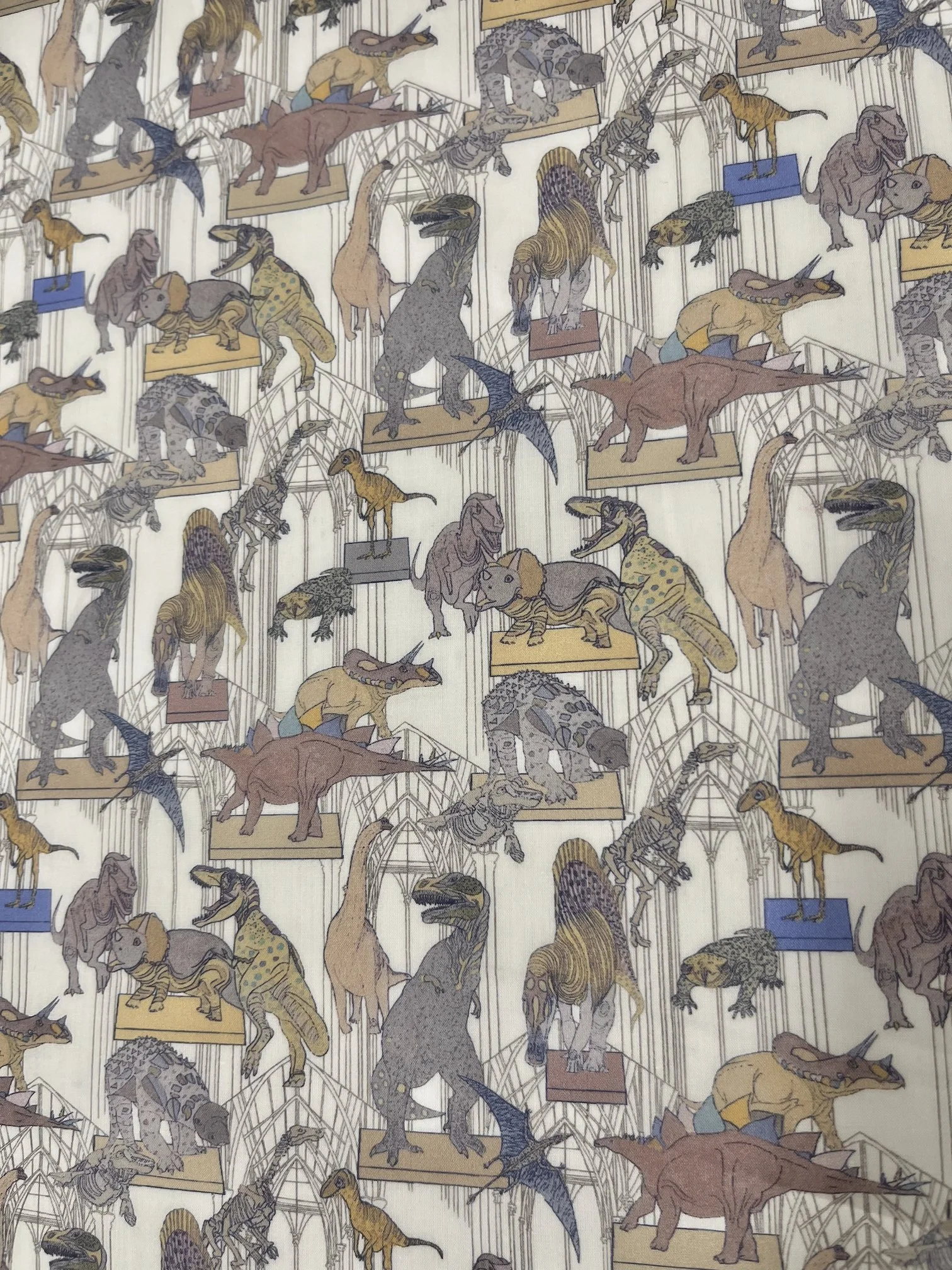 Claws, Roars N Dinosaurs - Organic Tana Lawn