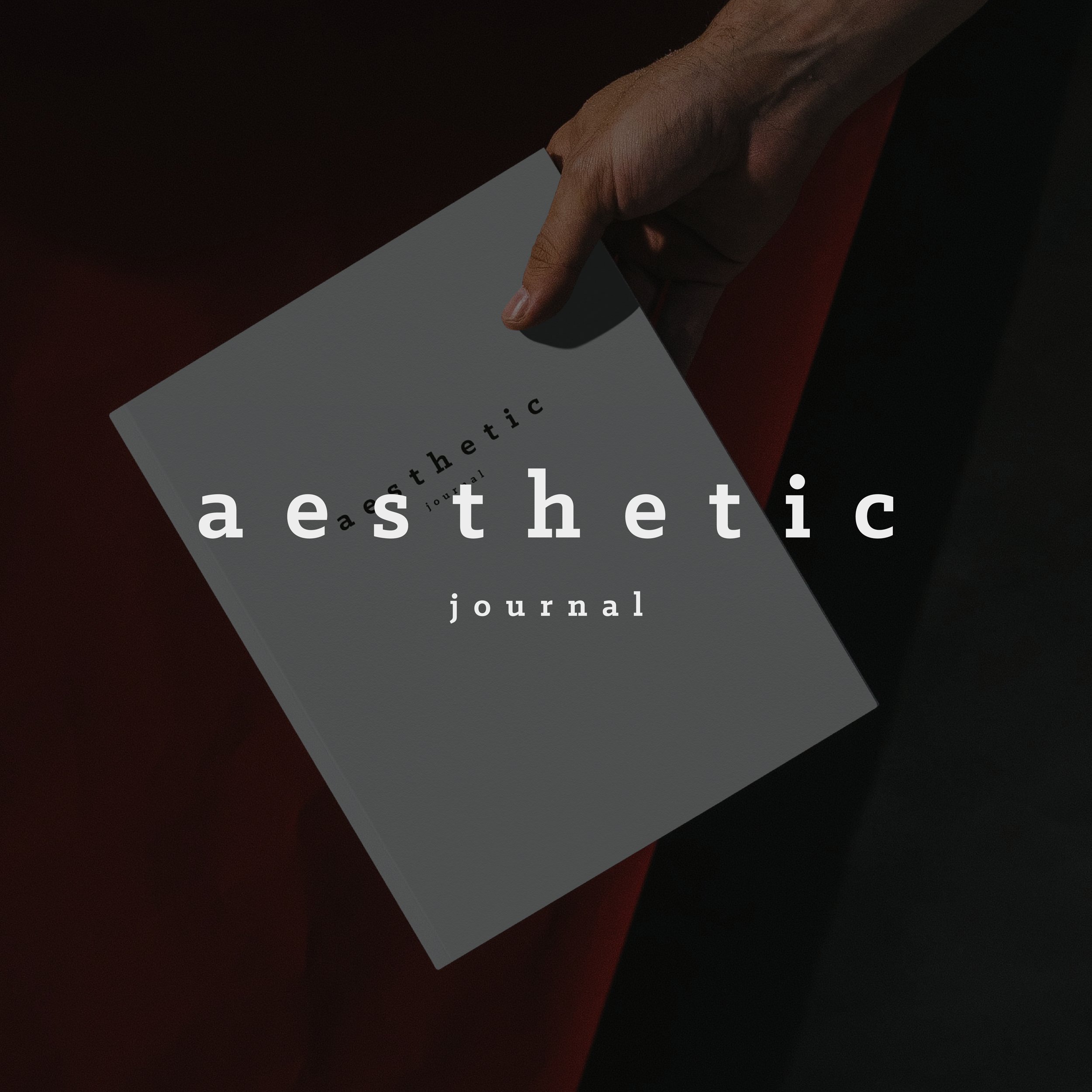 Zine Series