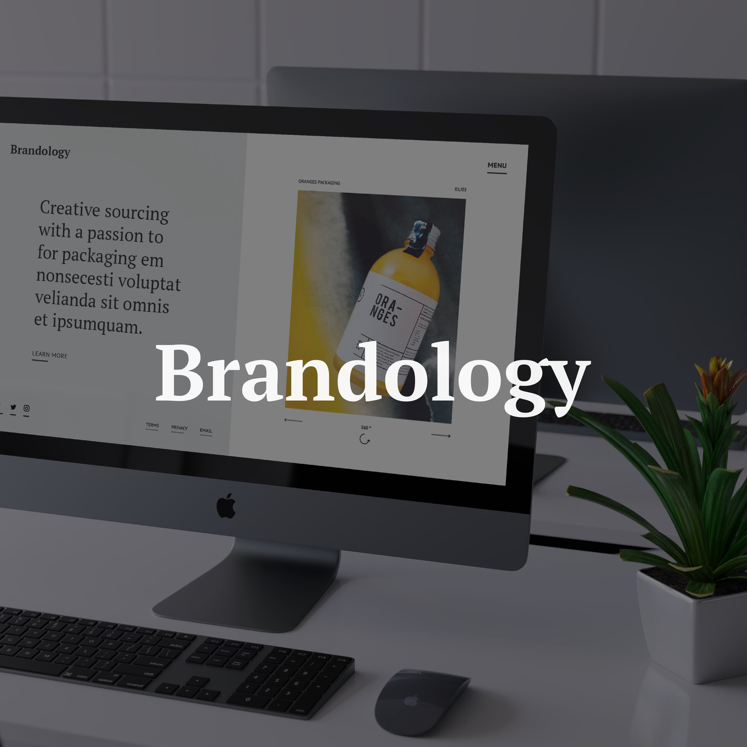 Web Design (Concept)