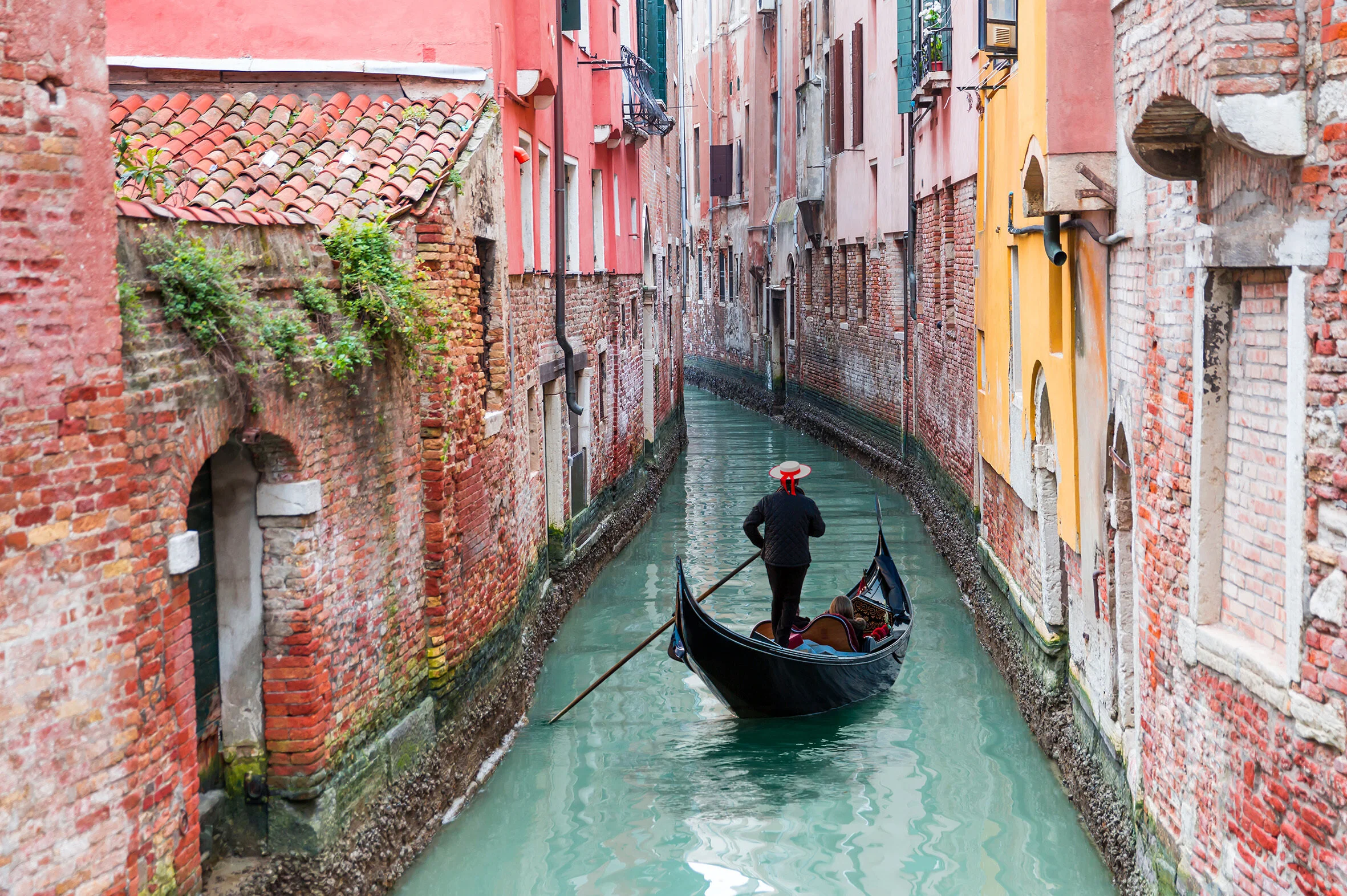 venice wow.jpg