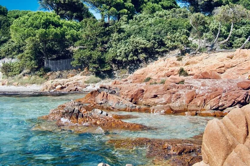 photo-plage-corse-pallombaggia-min.jpg