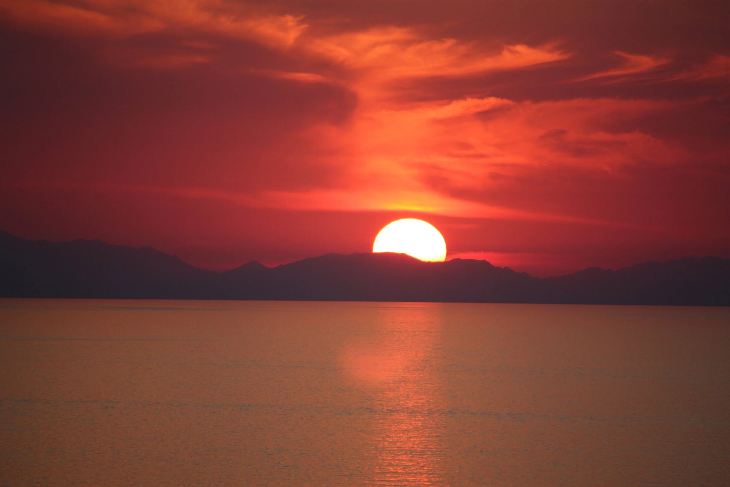 corsica-mare_8cu66.T0.jpg