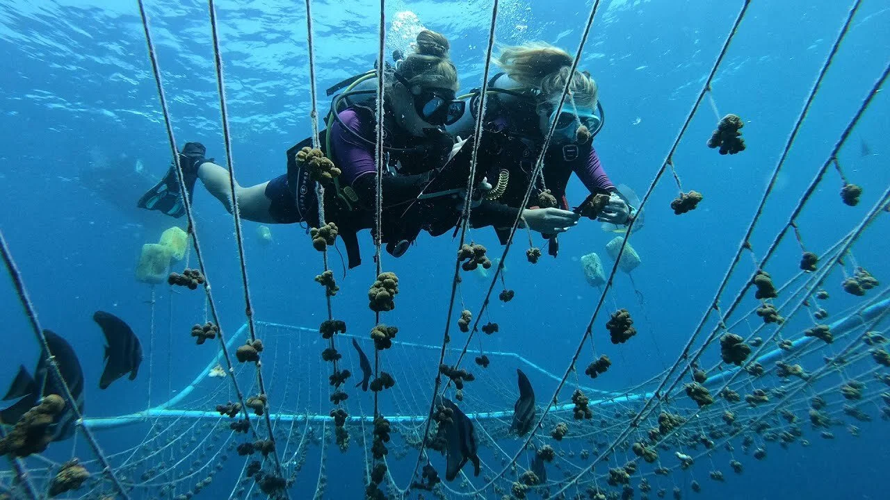 vela excursions.jpg