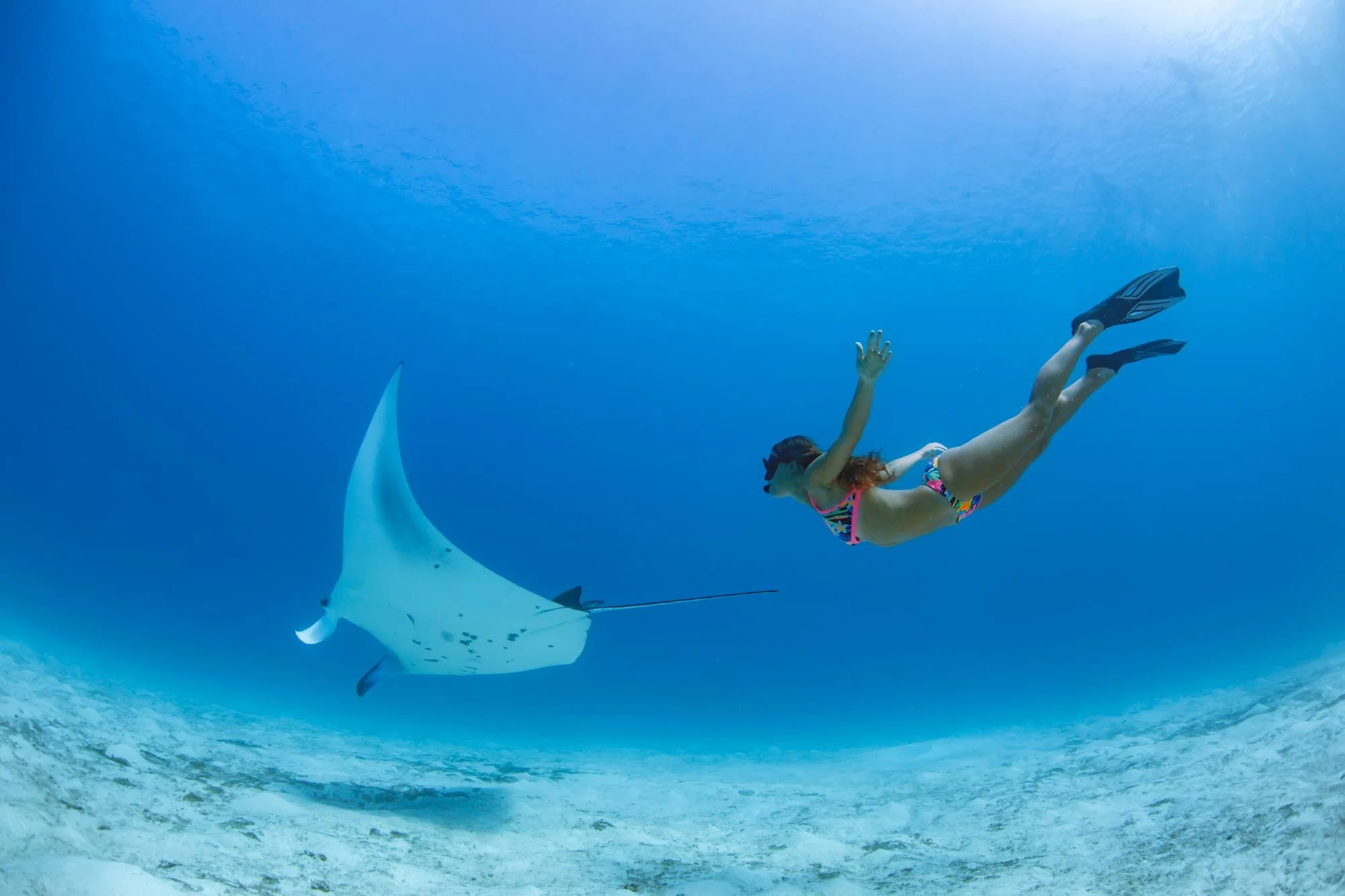 snorkiling emerald.jpg