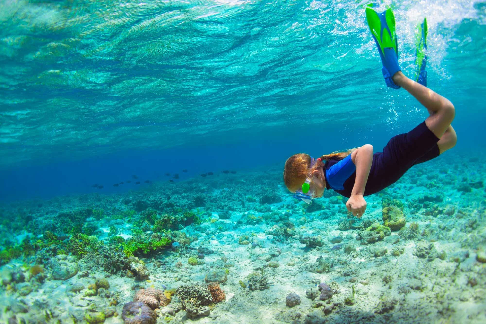 ocean life.jpg