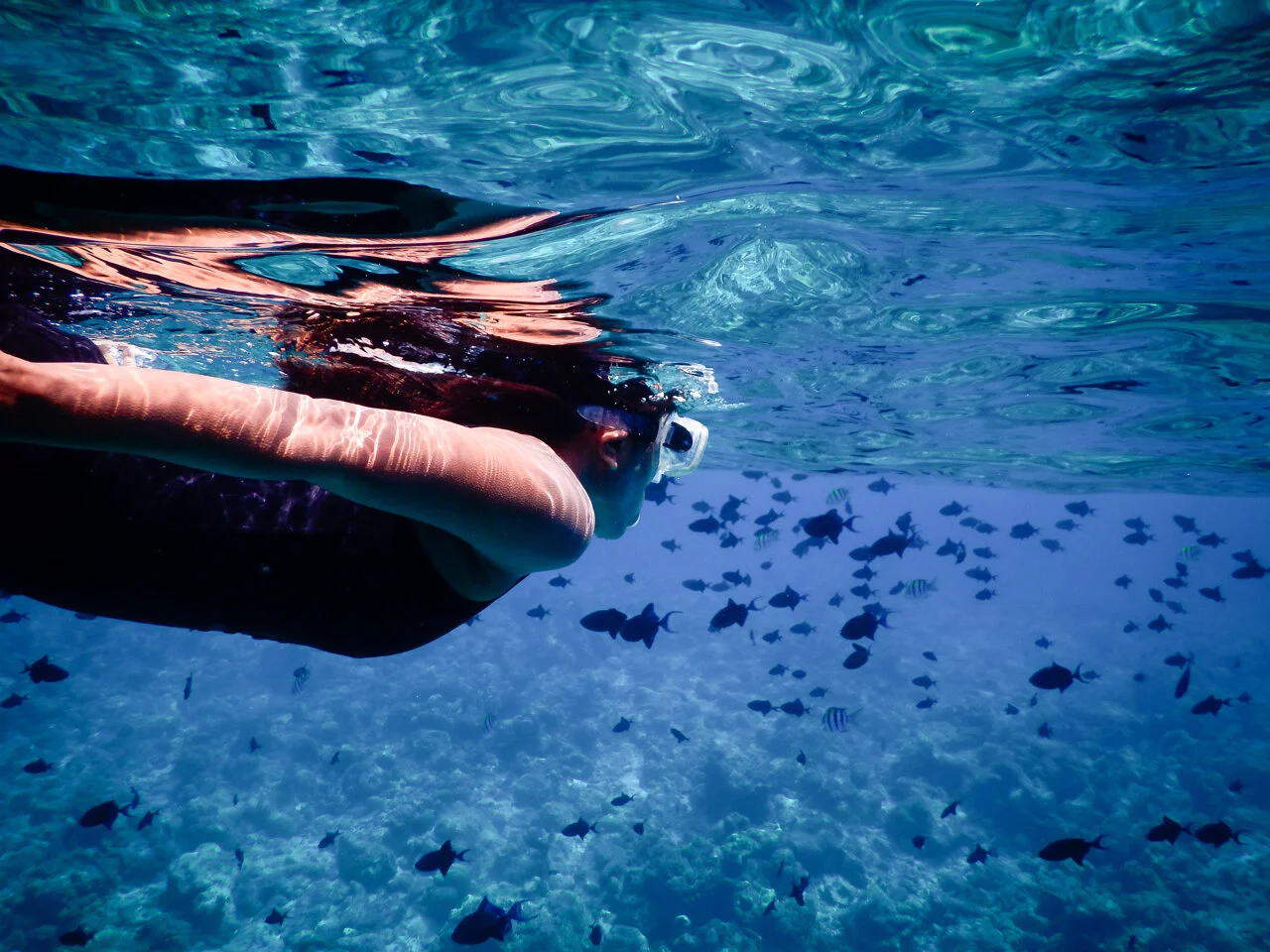 Fairmont-Maldives-Sirru-Fen-Fushi-Housereef-snorkel.jpg