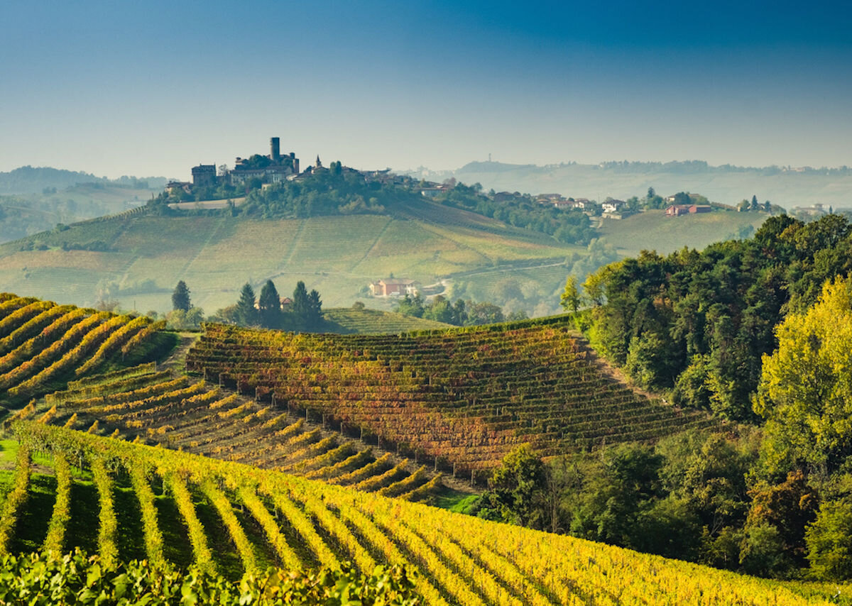 Langhe-vineyards-of-Piedmont-Italy-in-autumn-1200x854.jpg